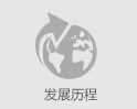 发展历程